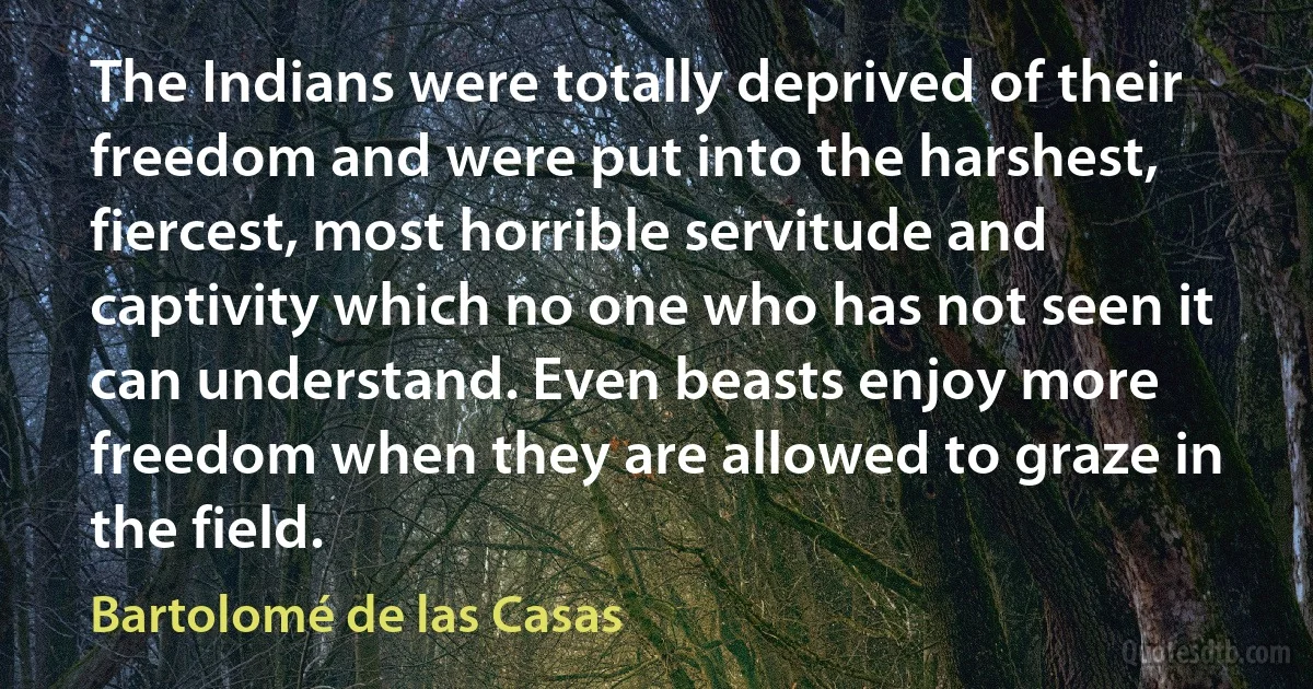 The Indians were totally deprived of their freedom and were put into the harshest, fiercest, most horrible servitude and captivity which no one who has not seen it can understand. Even beasts enjoy more freedom when they are allowed to graze in the field. (Bartolomé de las Casas)