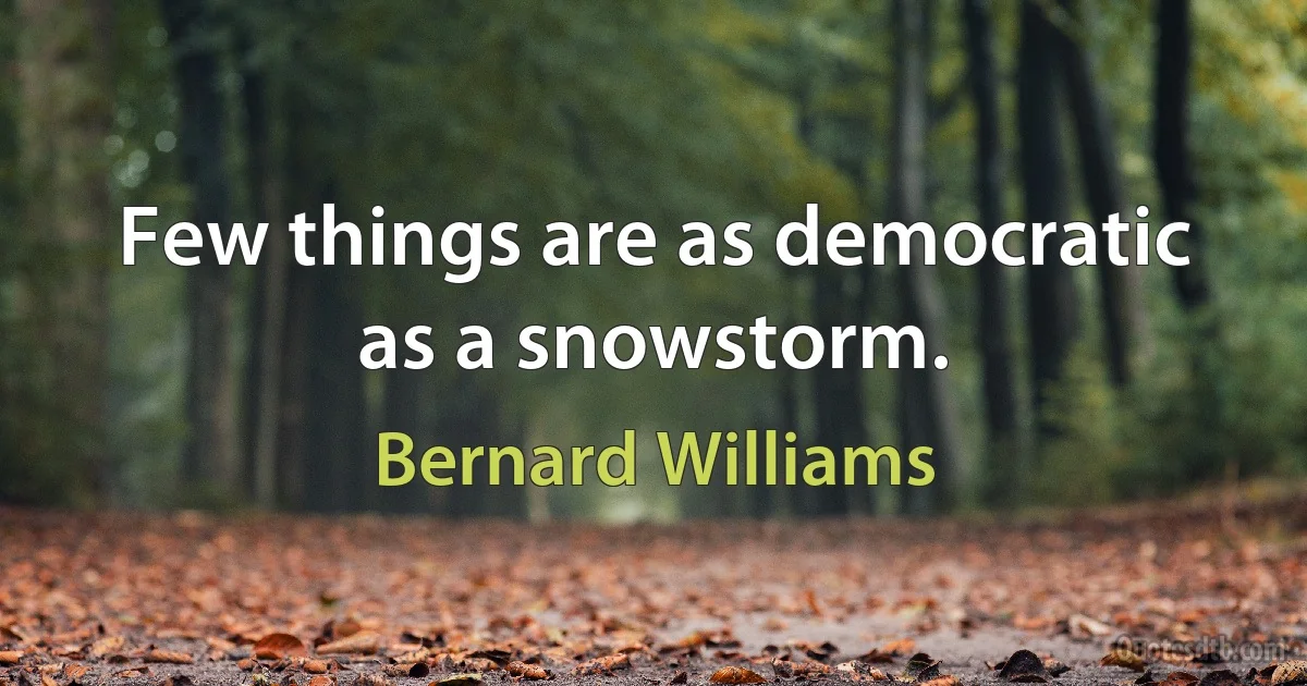 Few things are as democratic as a snowstorm. (Bernard Williams)