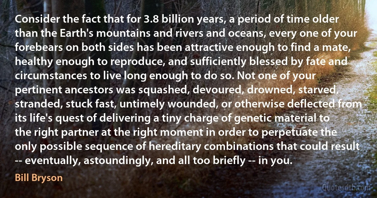 Consider the fact that for 3.8 billion years, a period of time older than the Earth's mountains and rivers and oceans, every one of your forebears on both sides has been attractive enough to find a mate, healthy enough to reproduce, and sufficiently blessed by fate and circumstances to live long enough to do so. Not one of your pertinent ancestors was squashed, devoured, drowned, starved, stranded, stuck fast, untimely wounded, or otherwise deflected from its life's quest of delivering a tiny charge of genetic material to the right partner at the right moment in order to perpetuate the only possible sequence of hereditary combinations that could result -- eventually, astoundingly, and all too briefly -- in you. (Bill Bryson)