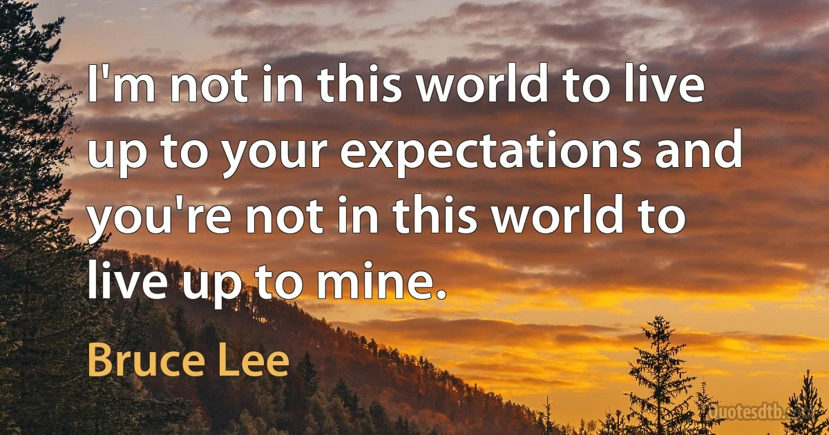 I'm not in this world to live up to your expectations and you're not in this world to live up to mine. (Bruce Lee)