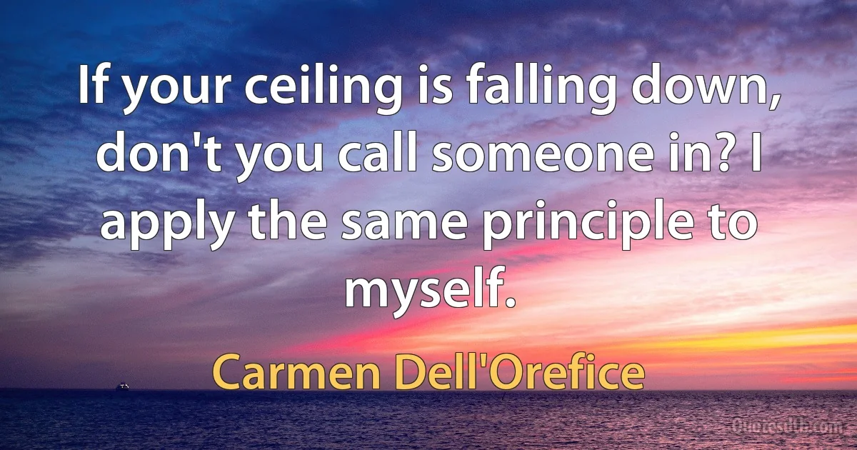 If your ceiling is falling down, don't you call someone in? I apply the same principle to myself. (Carmen Dell'Orefice)