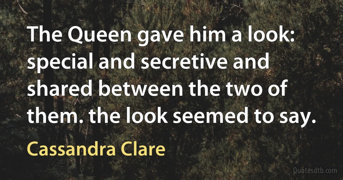 The Queen gave him a look: special and secretive and shared between the two of them. the look seemed to say. (Cassandra Clare)