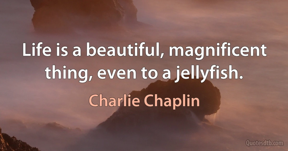 Life is a beautiful, magnificent thing, even to a jellyfish. (Charlie Chaplin)