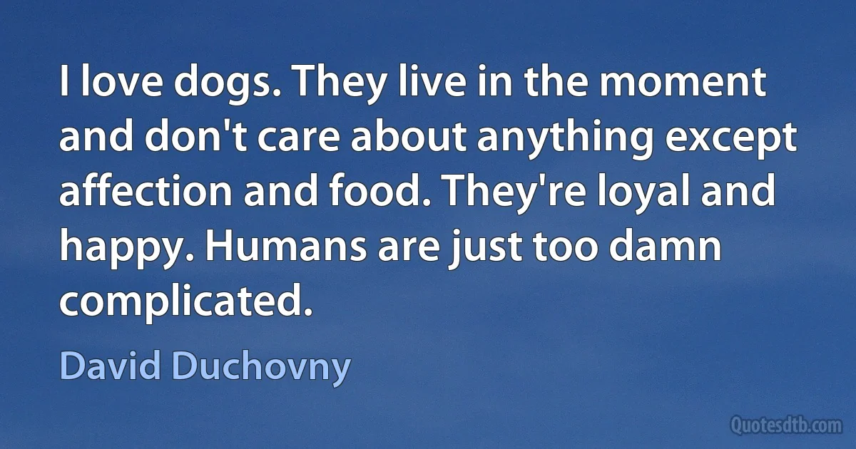 I love dogs. They live in the moment and don't care about anything except affection and food. They're loyal and happy. Humans are just too damn complicated. (David Duchovny)