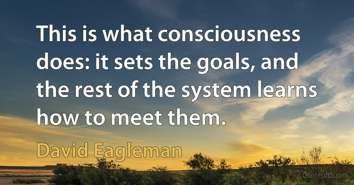 This is what consciousness does: it sets the goals, and the rest of the system learns how to meet them. (David Eagleman)