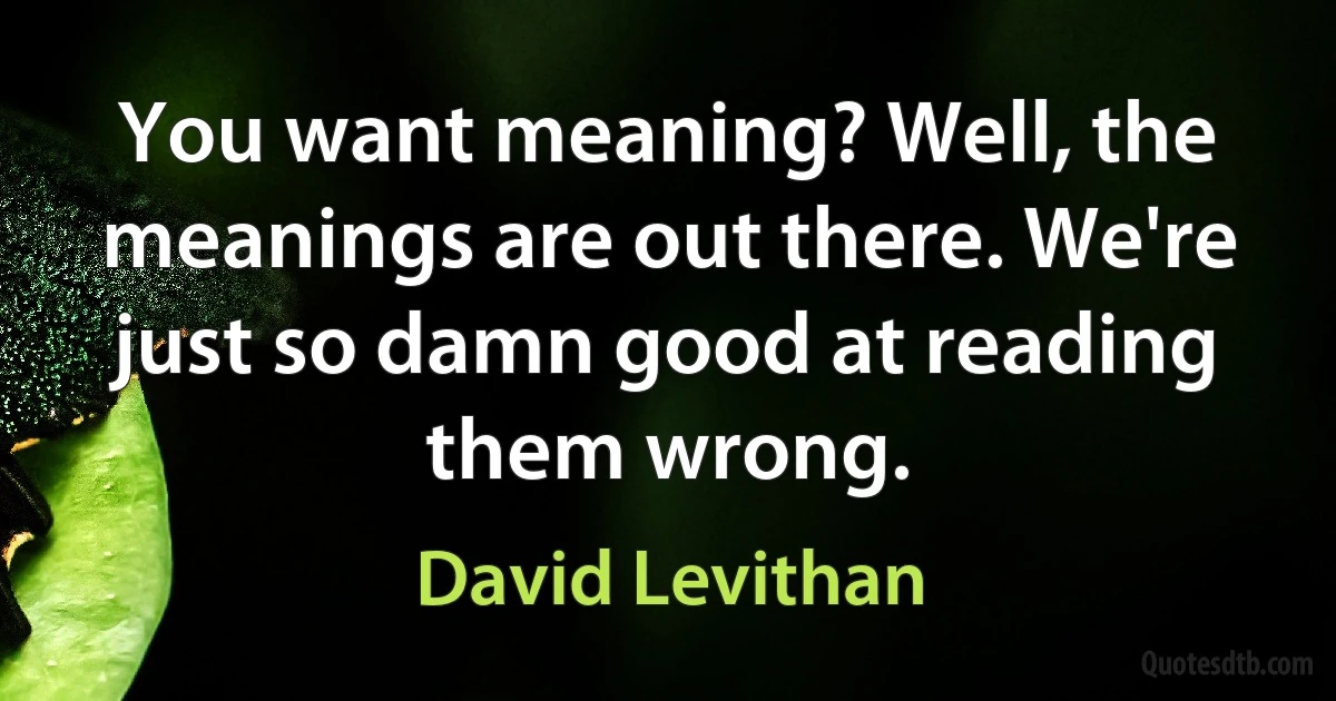 You want meaning? Well, the meanings are out there. We're just so damn good at reading them wrong. (David Levithan)