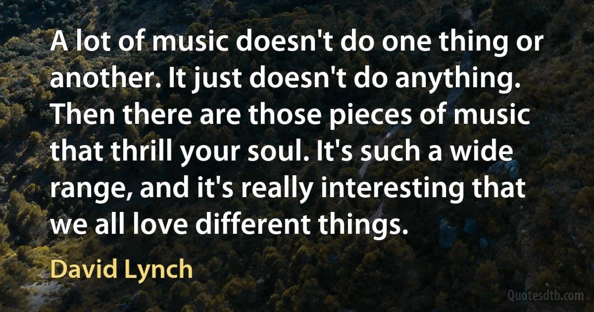 A lot of music doesn't do one thing or another. It just doesn't do anything. Then there are those pieces of music that thrill your soul. It's such a wide range, and it's really interesting that we all love different things. (David Lynch)