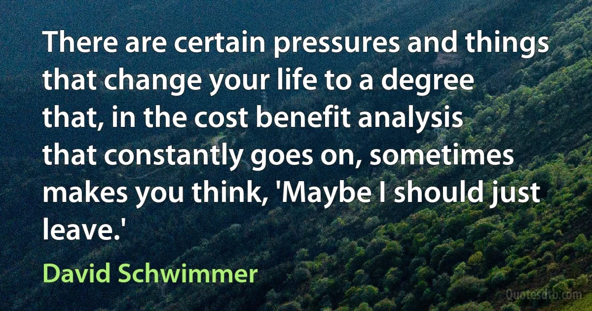 There are certain pressures and things that change your life to a degree that, in the cost benefit analysis that constantly goes on, sometimes makes you think, 'Maybe I should just leave.' (David Schwimmer)