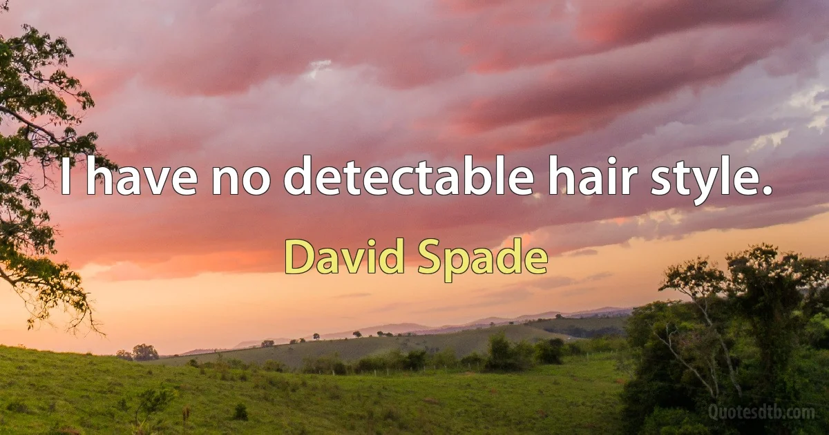 I have no detectable hair style. (David Spade)