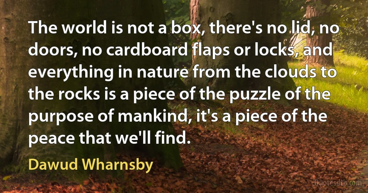 The world is not a box, there's no lid, no doors, no cardboard flaps or locks, and everything in nature from the clouds to the rocks is a piece of the puzzle of the purpose of mankind, it's a piece of the peace that we'll find. (Dawud Wharnsby)