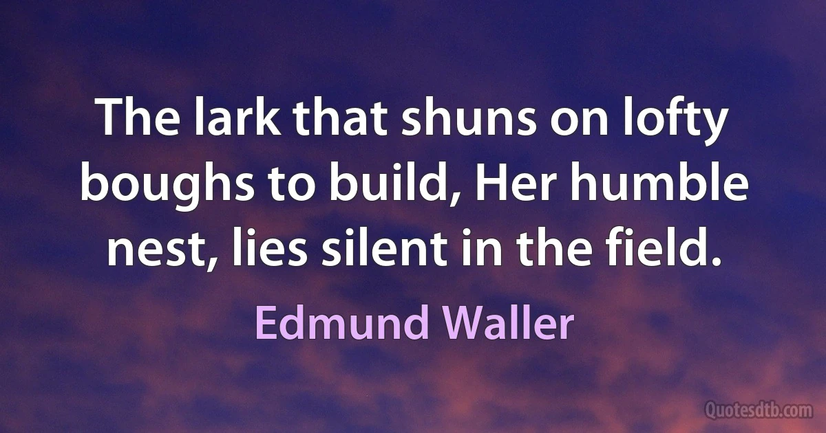 The lark that shuns on lofty boughs to build, Her humble nest, lies silent in the field. (Edmund Waller)