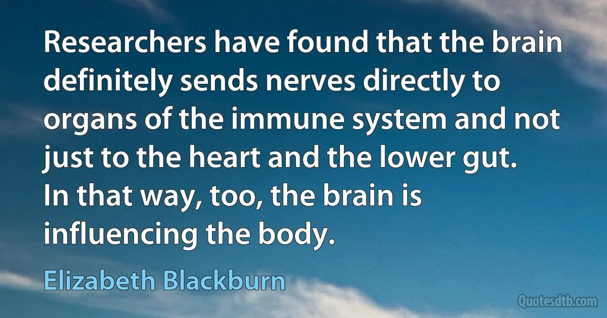 Researchers have found that the brain definitely sends nerves directly to organs of the immune system and not just to the heart and the lower gut. In that way, too, the brain is influencing the body. (Elizabeth Blackburn)