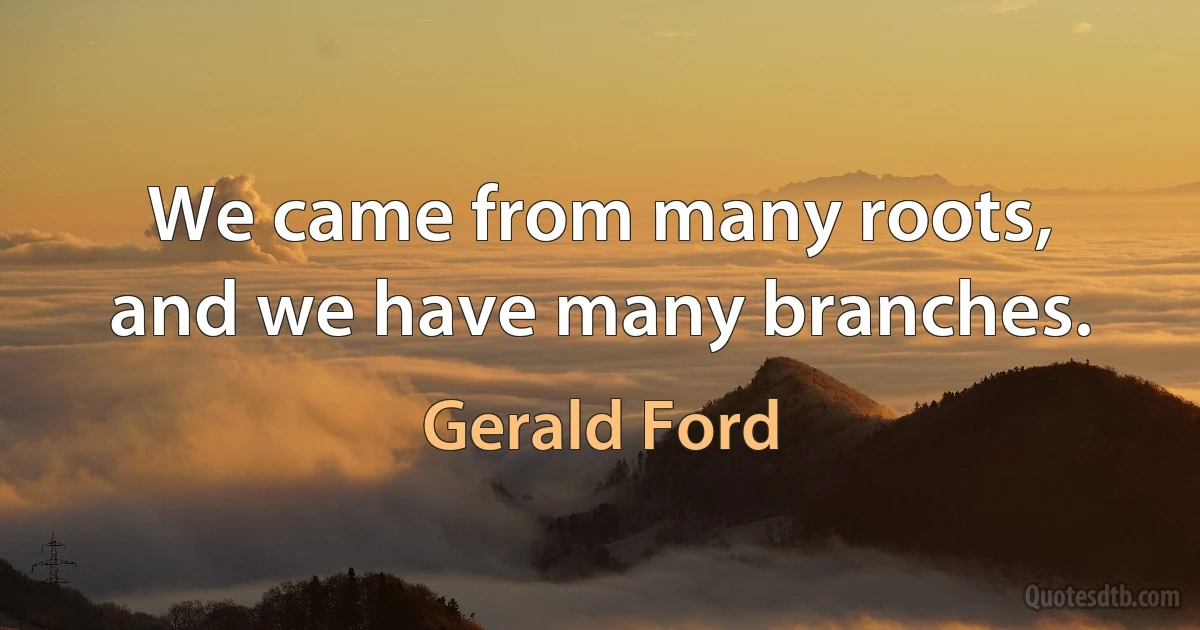 We came from many roots, and we have many branches. (Gerald Ford)