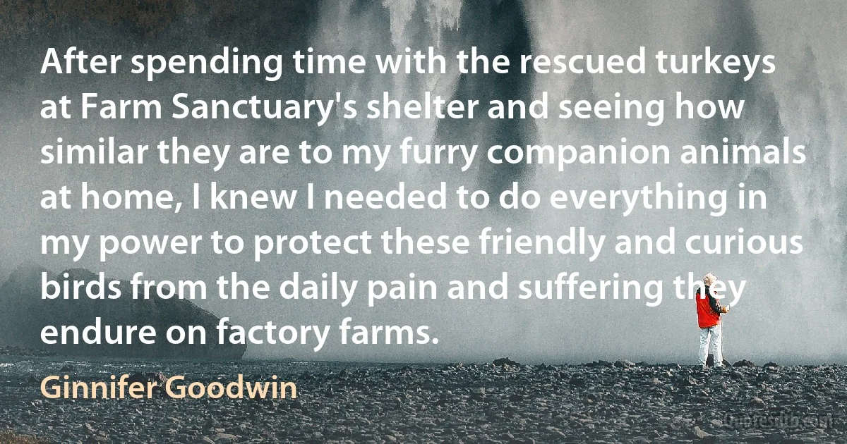 After spending time with the rescued turkeys at Farm Sanctuary's shelter and seeing how similar they are to my furry companion animals at home, I knew I needed to do everything in my power to protect these friendly and curious birds from the daily pain and suffering they endure on factory farms. (Ginnifer Goodwin)