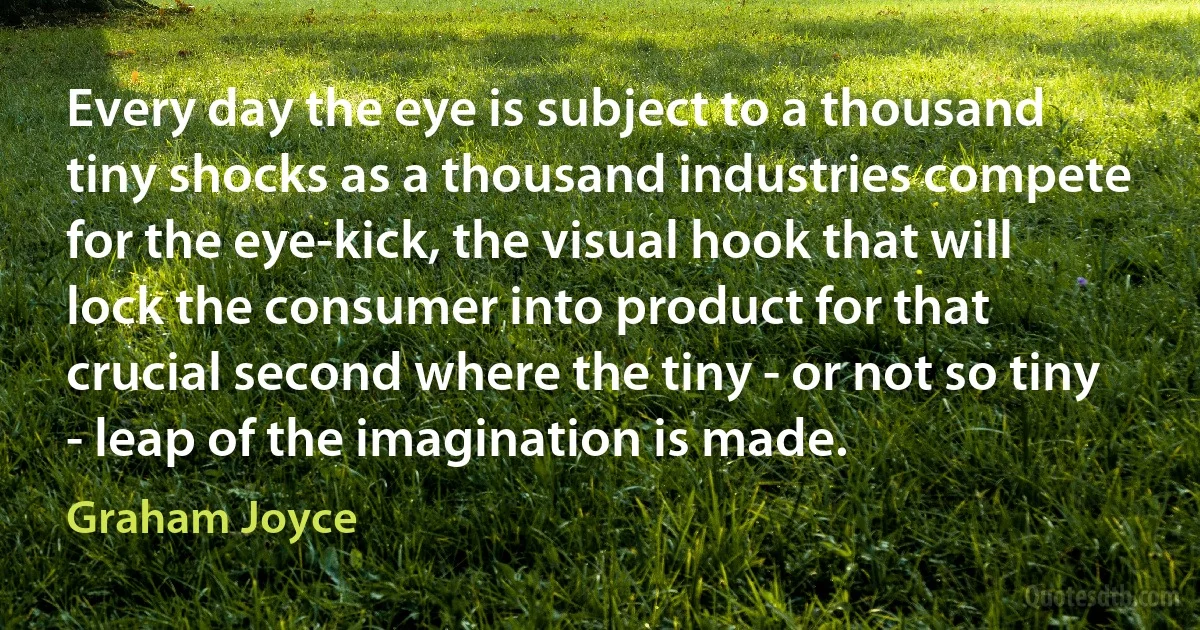 Every day the eye is subject to a thousand tiny shocks as a thousand industries compete for the eye-kick, the visual hook that will lock the consumer into product for that crucial second where the tiny - or not so tiny - leap of the imagination is made. (Graham Joyce)