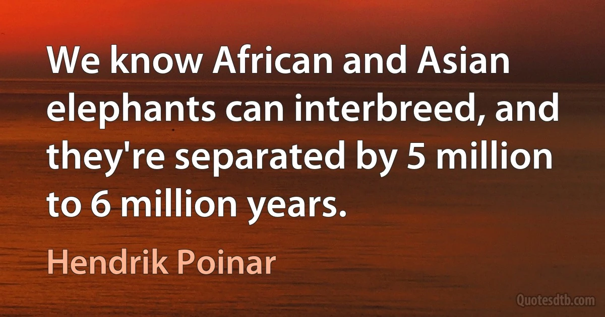 We know African and Asian elephants can interbreed, and they're separated by 5 million to 6 million years. (Hendrik Poinar)