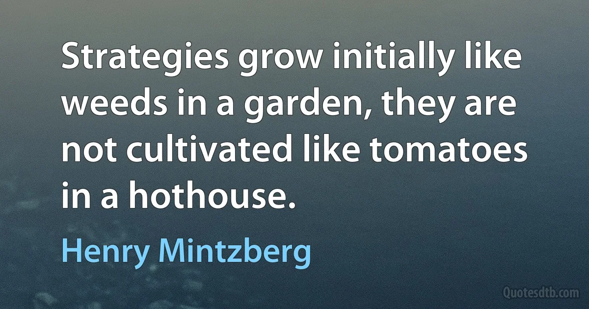 Strategies grow initially like weeds in a garden, they are not cultivated like tomatoes in a hothouse. (Henry Mintzberg)