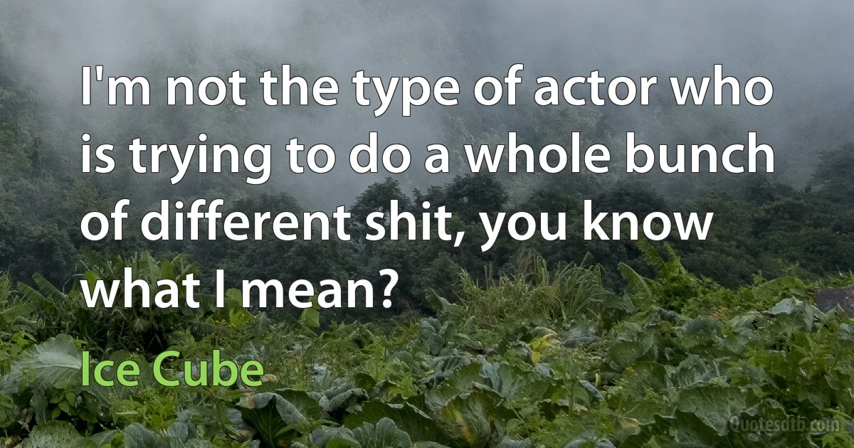 I'm not the type of actor who is trying to do a whole bunch of different shit, you know what I mean? (Ice Cube)