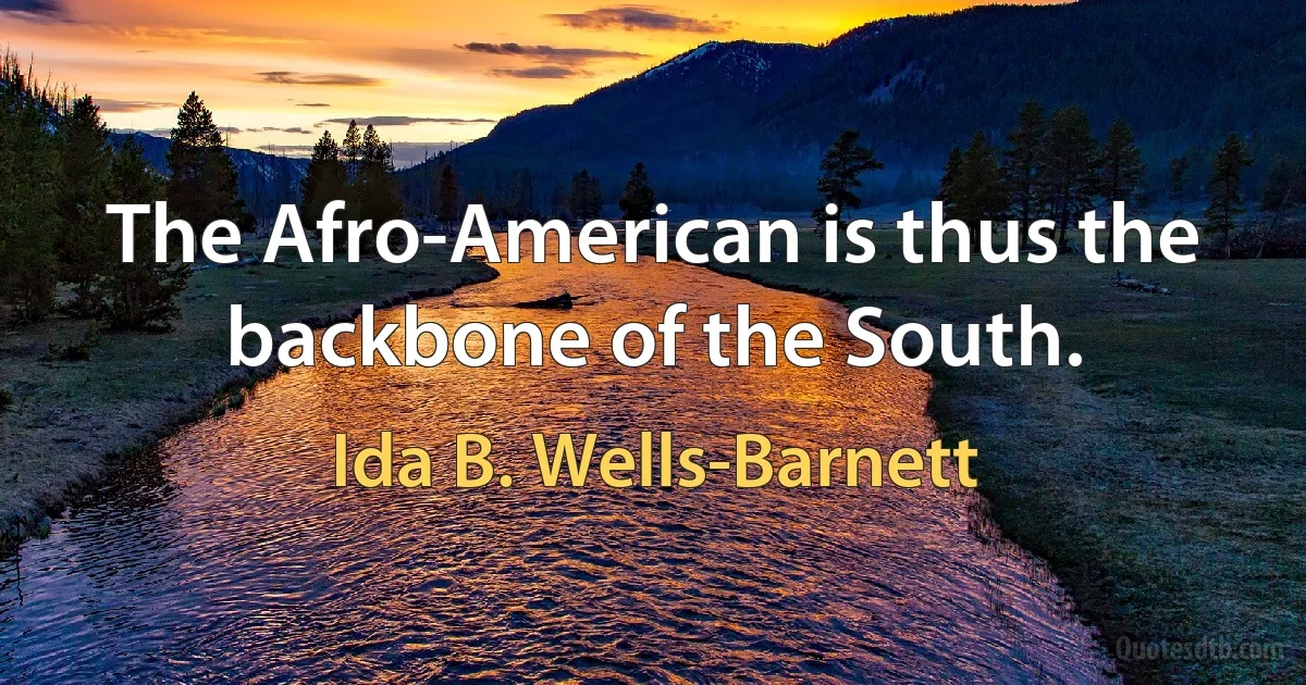 The Afro-American is thus the backbone of the South. (Ida B. Wells-Barnett)