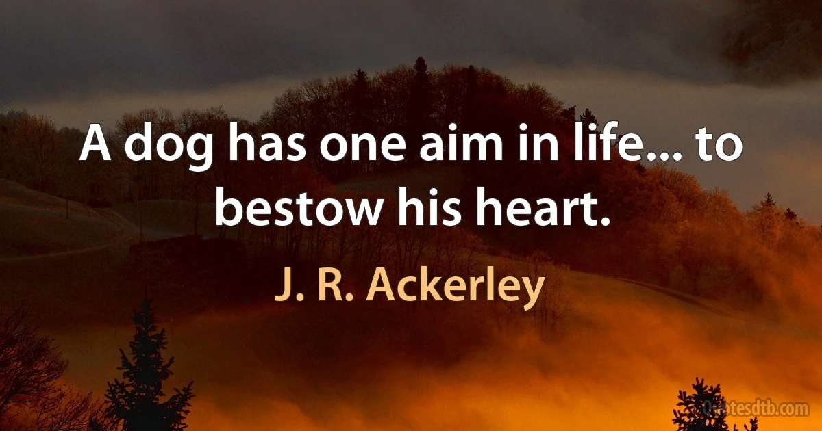 A dog has one aim in life... to bestow his heart. (J. R. Ackerley)