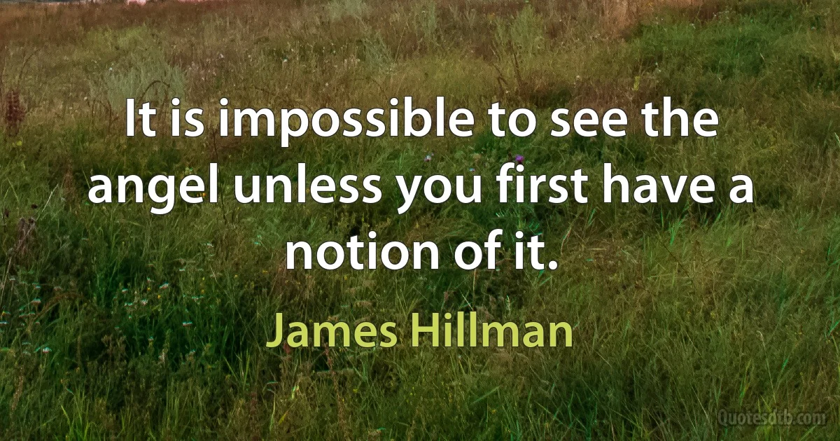 It is impossible to see the angel unless you first have a notion of it. (James Hillman)