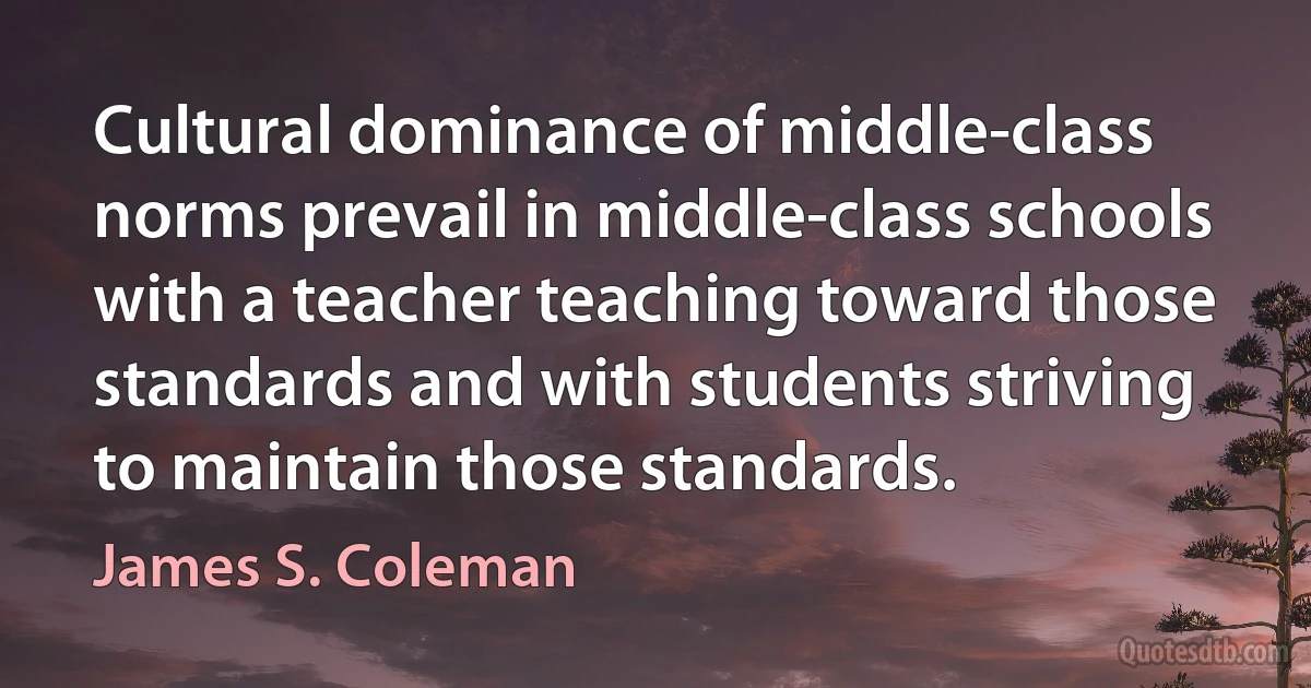 Cultural dominance of middle-class norms prevail in middle-class schools with a teacher teaching toward those standards and with students striving to maintain those standards. (James S. Coleman)