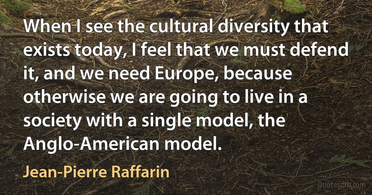 When I see the cultural diversity that exists today, I feel that we must defend it, and we need Europe, because otherwise we are going to live in a society with a single model, the Anglo-American model. (Jean-Pierre Raffarin)