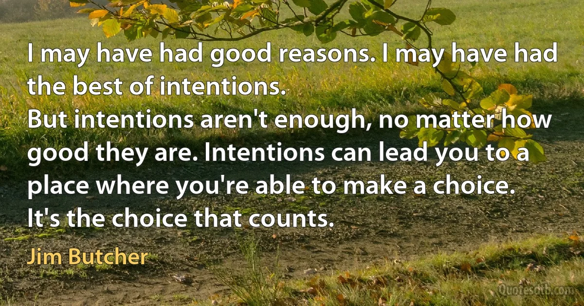 I may have had good reasons. I may have had the best of intentions.
But intentions aren't enough, no matter how good they are. Intentions can lead you to a place where you're able to make a choice.
It's the choice that counts. (Jim Butcher)