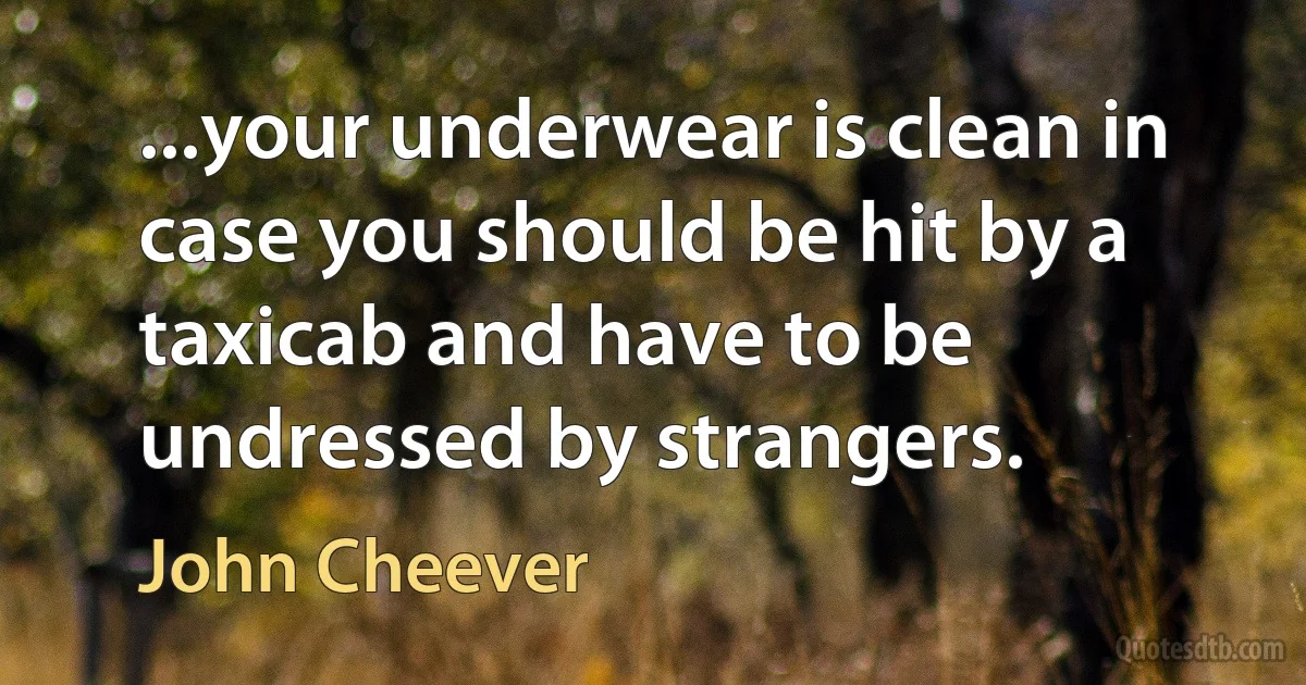 ...your underwear is clean in case you should be hit by a taxicab and have to be undressed by strangers. (John Cheever)