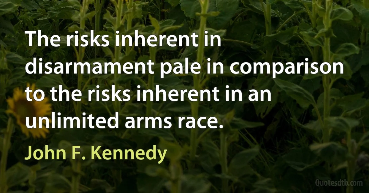 The risks inherent in disarmament pale in comparison to the risks inherent in an unlimited arms race. (John F. Kennedy)