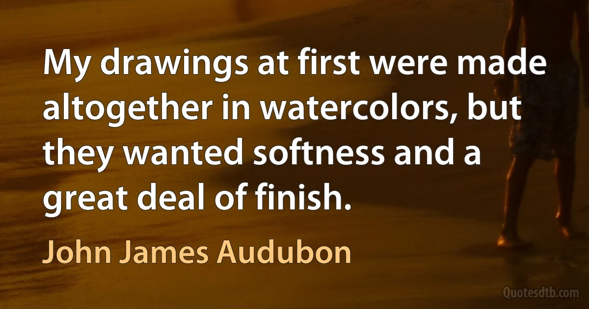 My drawings at first were made altogether in watercolors, but they wanted softness and a great deal of finish. (John James Audubon)