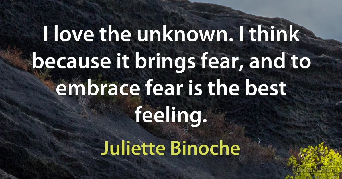 I love the unknown. I think because it brings fear, and to embrace fear is the best feeling. (Juliette Binoche)