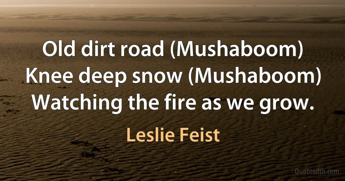 Old dirt road (Mushaboom)
Knee deep snow (Mushaboom)
Watching the fire as we grow. (Leslie Feist)