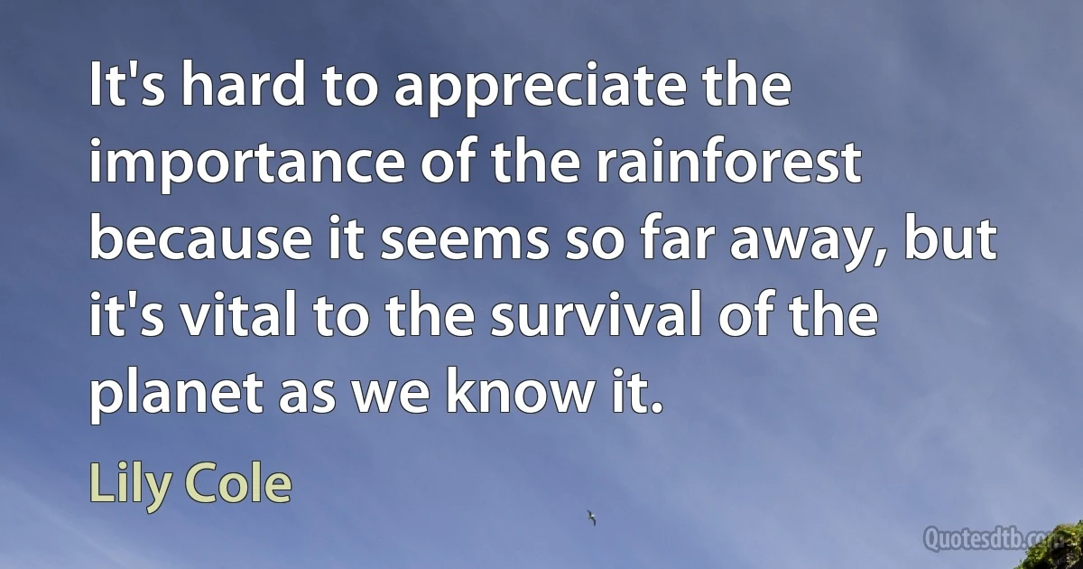 It's hard to appreciate the importance of the rainforest because it seems so far away, but it's vital to the survival of the planet as we know it. (Lily Cole)