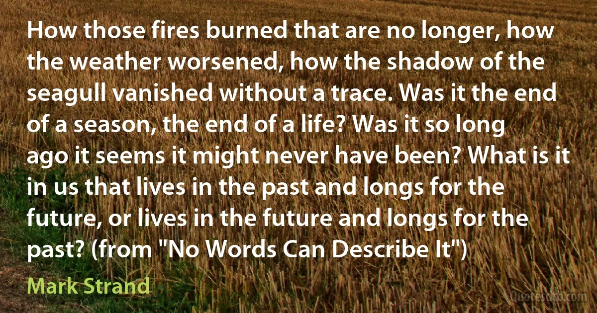 How those fires burned that are no longer, how the weather worsened, how the shadow of the seagull vanished without a trace. Was it the end of a season, the end of a life? Was it so long ago it seems it might never have been? What is it in us that lives in the past and longs for the future, or lives in the future and longs for the past? (from "No Words Can Describe It") (Mark Strand)