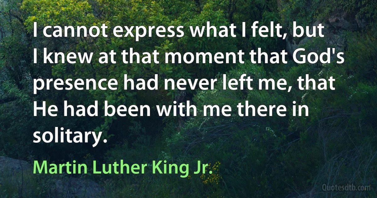 I cannot express what I felt, but I knew at that moment that God's presence had never left me, that He had been with me there in solitary. (Martin Luther King Jr.)