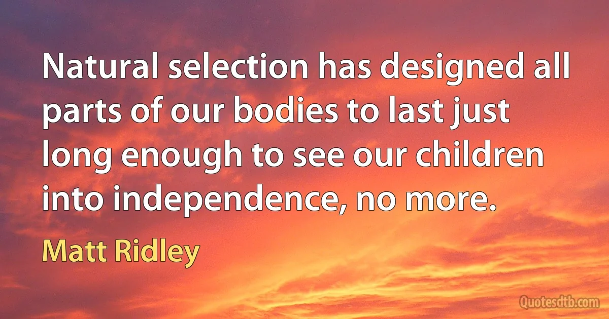 Natural selection has designed all parts of our bodies to last just long enough to see our children into independence, no more. (Matt Ridley)