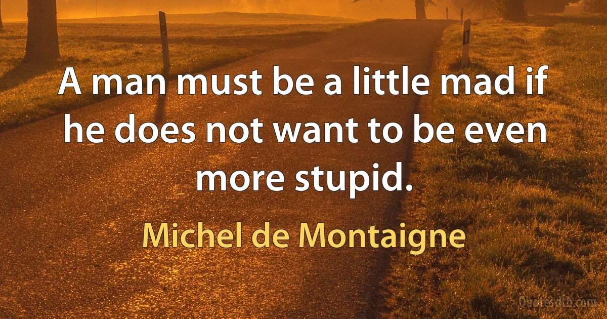 A man must be a little mad if he does not want to be even more stupid. (Michel de Montaigne)