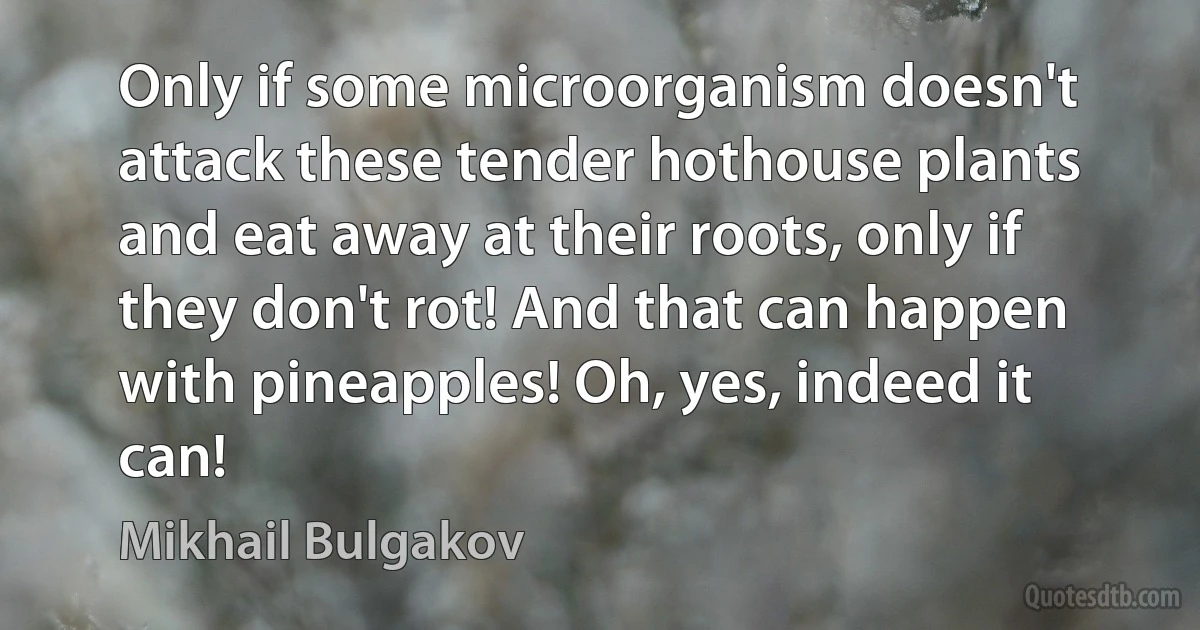 Only if some microorganism doesn't attack these tender hothouse plants and eat away at their roots, only if they don't rot! And that can happen with pineapples! Oh, yes, indeed it can! (Mikhail Bulgakov)