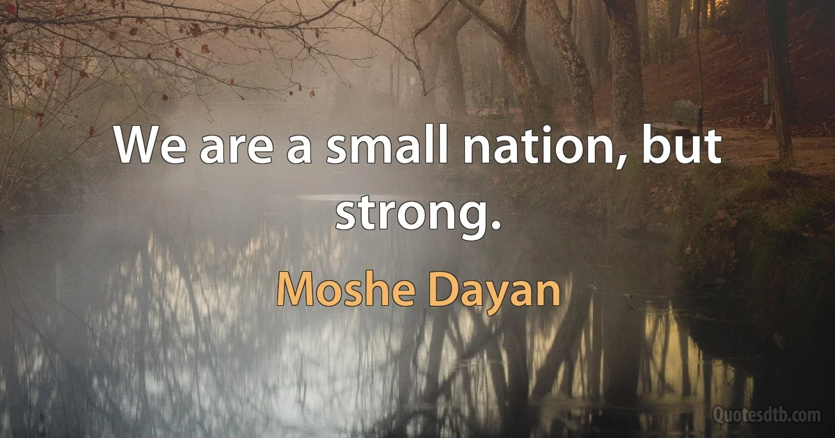 We are a small nation, but strong. (Moshe Dayan)