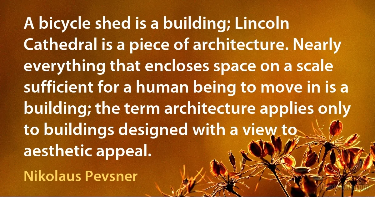 A bicycle shed is a building; Lincoln Cathedral is a piece of architecture. Nearly everything that encloses space on a scale sufficient for a human being to move in is a building; the term architecture applies only to buildings designed with a view to aesthetic appeal. (Nikolaus Pevsner)