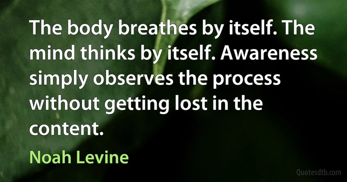 The body breathes by itself. The mind thinks by itself. Awareness simply observes the process without getting lost in the content. (Noah Levine)