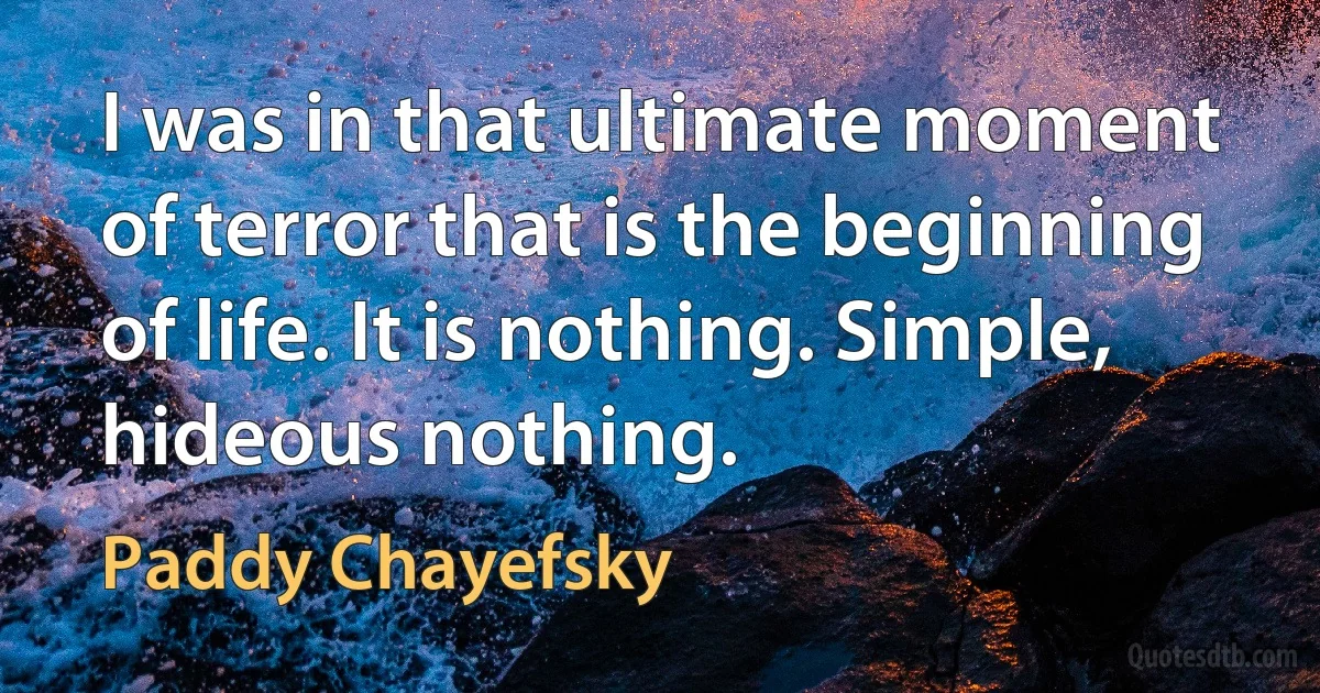 I was in that ultimate moment of terror that is the beginning of life. It is nothing. Simple, hideous nothing. (Paddy Chayefsky)