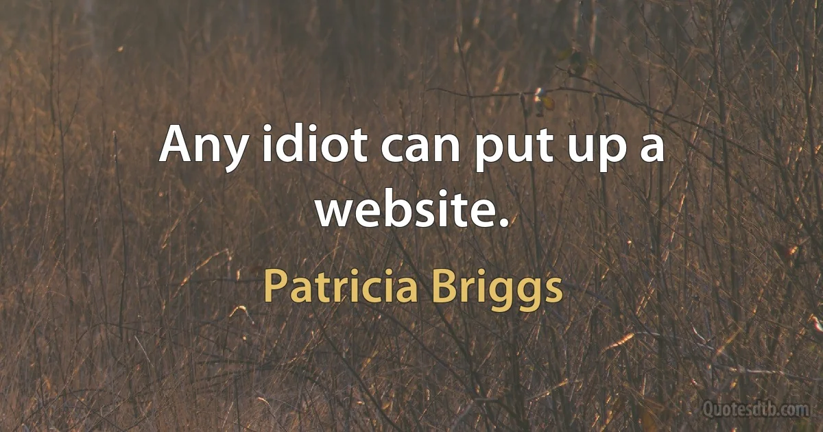 Any idiot can put up a website. (Patricia Briggs)