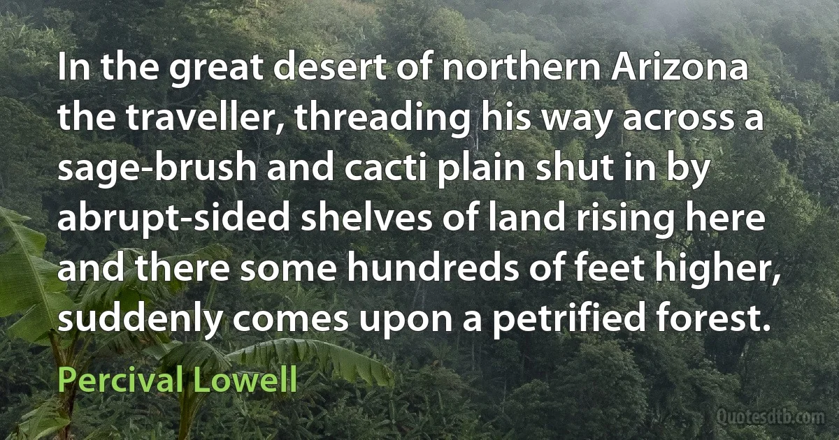 In the great desert of northern Arizona the traveller, threading his way across a sage-brush and cacti plain shut in by abrupt-sided shelves of land rising here and there some hundreds of feet higher, suddenly comes upon a petrified forest. (Percival Lowell)