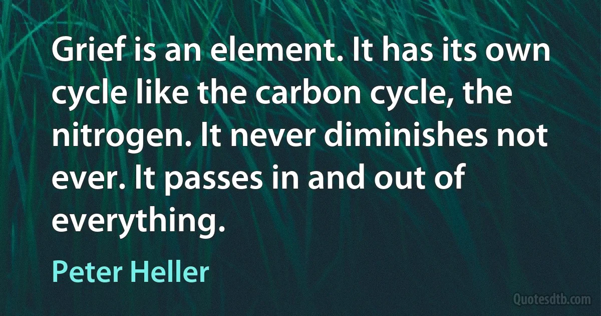 Grief is an element. It has its own cycle like the carbon cycle, the nitrogen. It never diminishes not ever. It passes in and out of everything. (Peter Heller)