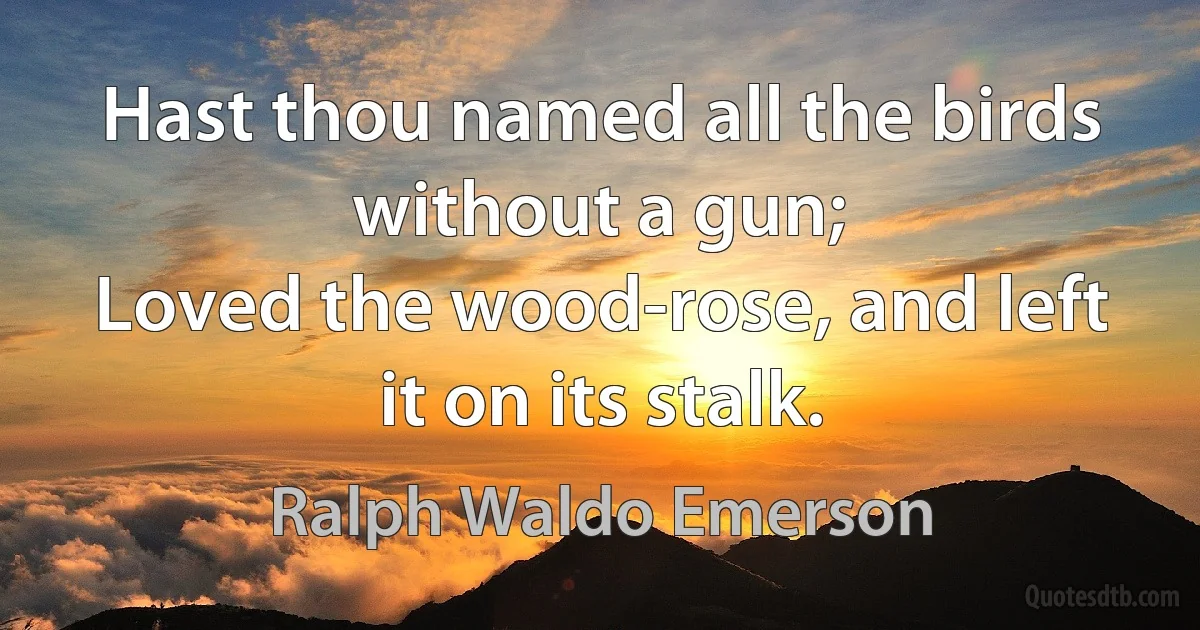 Hast thou named all the birds without a gun;
Loved the wood-rose, and left it on its stalk. (Ralph Waldo Emerson)