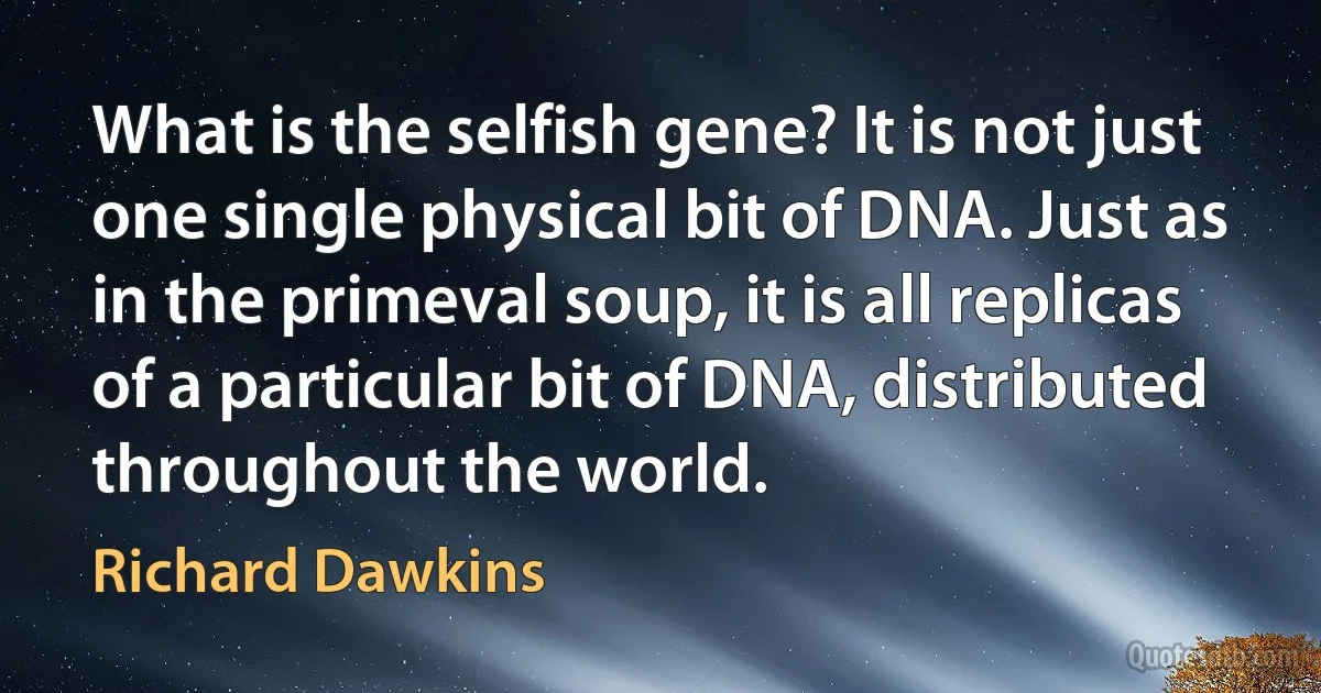 What is the selfish gene? It is not just one single physical bit of DNA. Just as in the primeval soup, it is all replicas of a particular bit of DNA, distributed throughout the world. (Richard Dawkins)