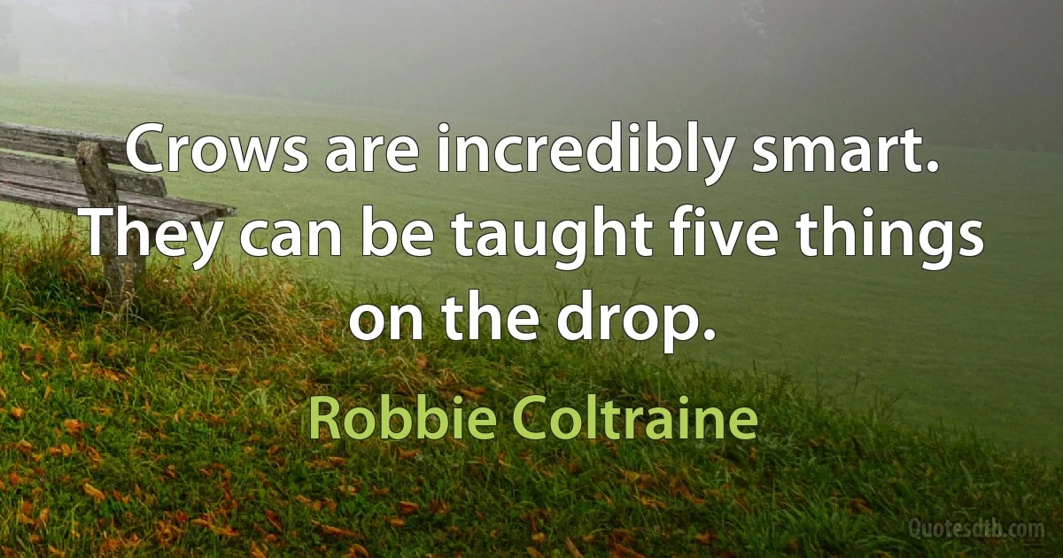 Crows are incredibly smart. They can be taught five things on the drop. (Robbie Coltraine)