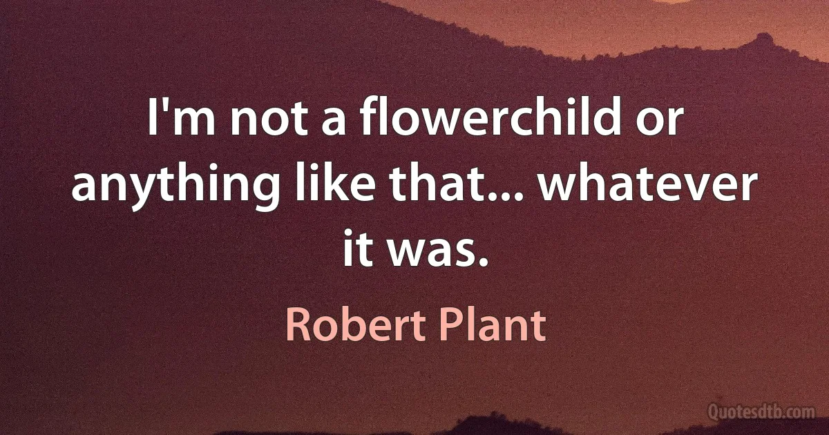 I'm not a flowerchild or anything like that... whatever it was. (Robert Plant)